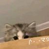 离落7