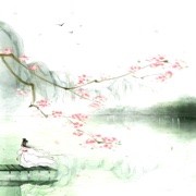 萌新宝宝WS