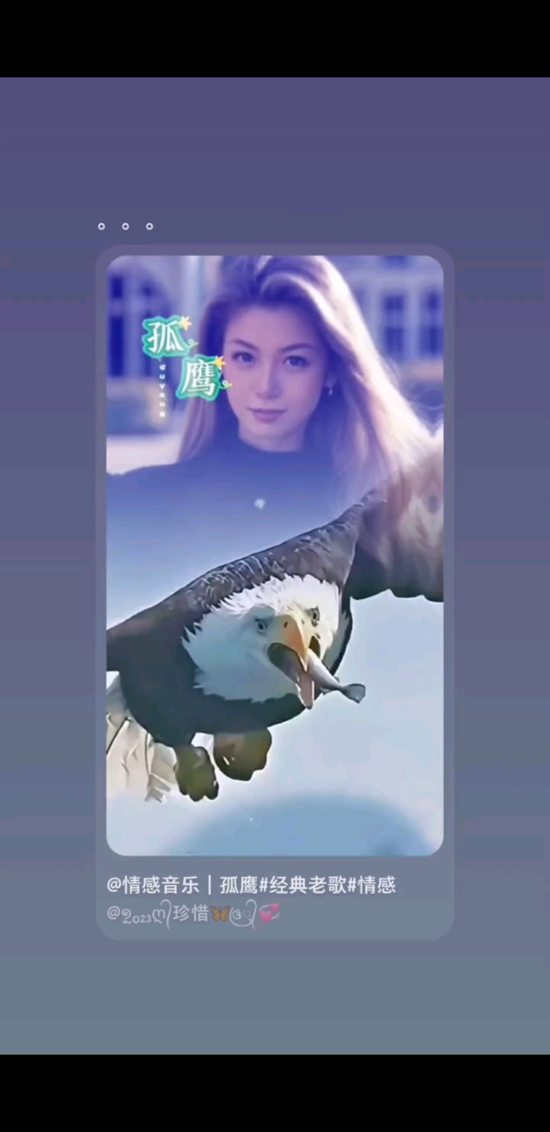 孤鹰
