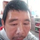 龙飞凤舞2t