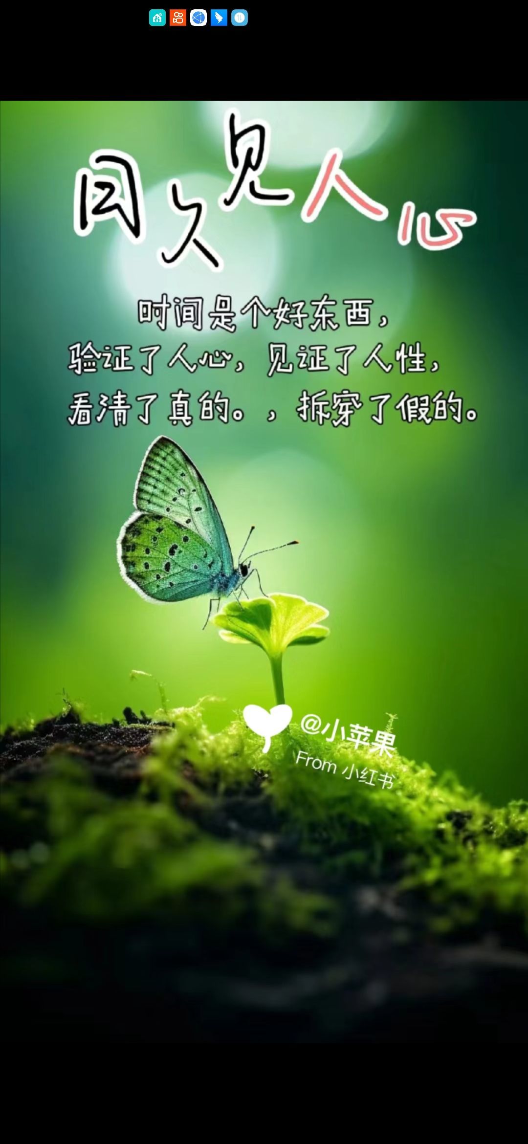 丑小鸭💞愿有一束光的图片