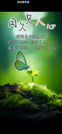 丑小鸭🌈万人迷眼睛主播照片