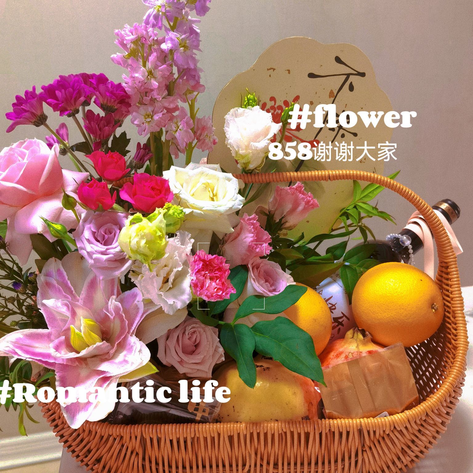 嘉瀚♬苏静好♬唱歌的图片