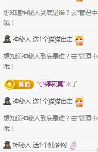 💓小西猪💓主播图片
