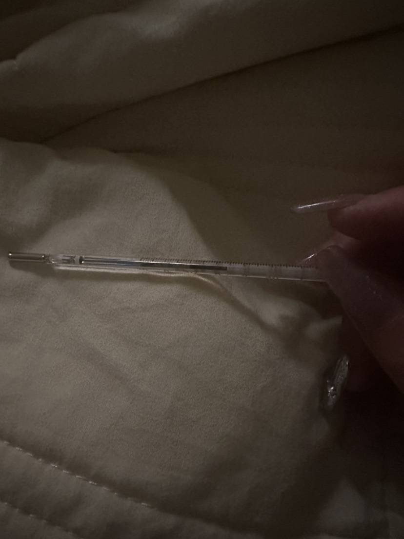 娜扎🧸休1天哦的图片
