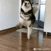 穿越8848。