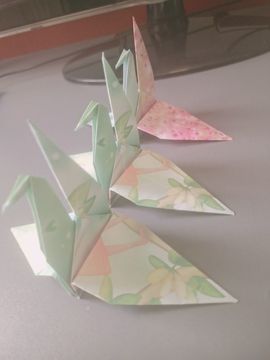 安嘉【停播】主播照片