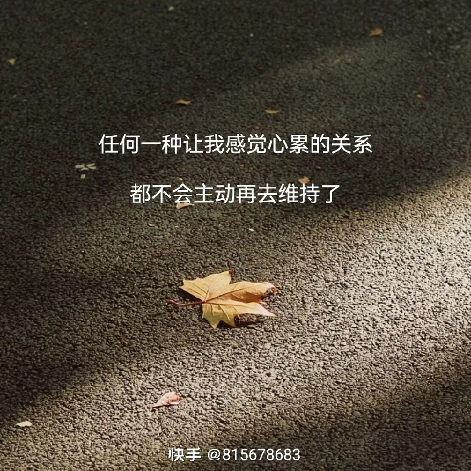 🍂半步圣人🍁海报