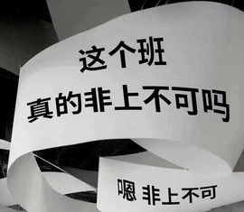 粉色玫瑰7的图片