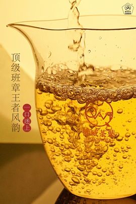 权威茶叶(天河店)主播照片