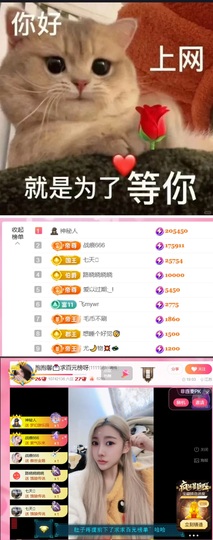 抱抱馨💌今晚休。主播照片