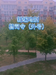 这是我自创的怀旧歌曲