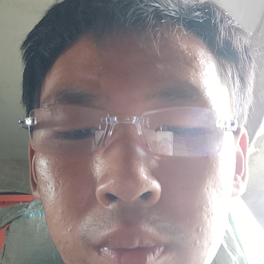 天真长江江豚海报