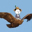 在下慕容非
