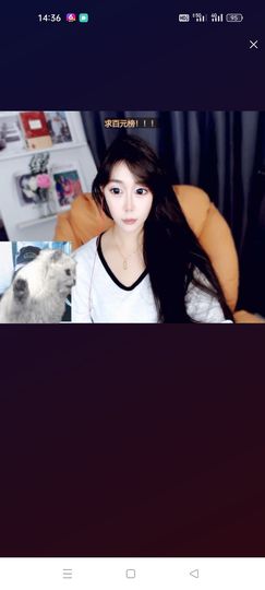 老.公..的图片