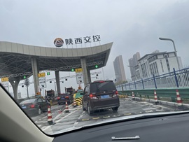 秋叶♥海棠的图片