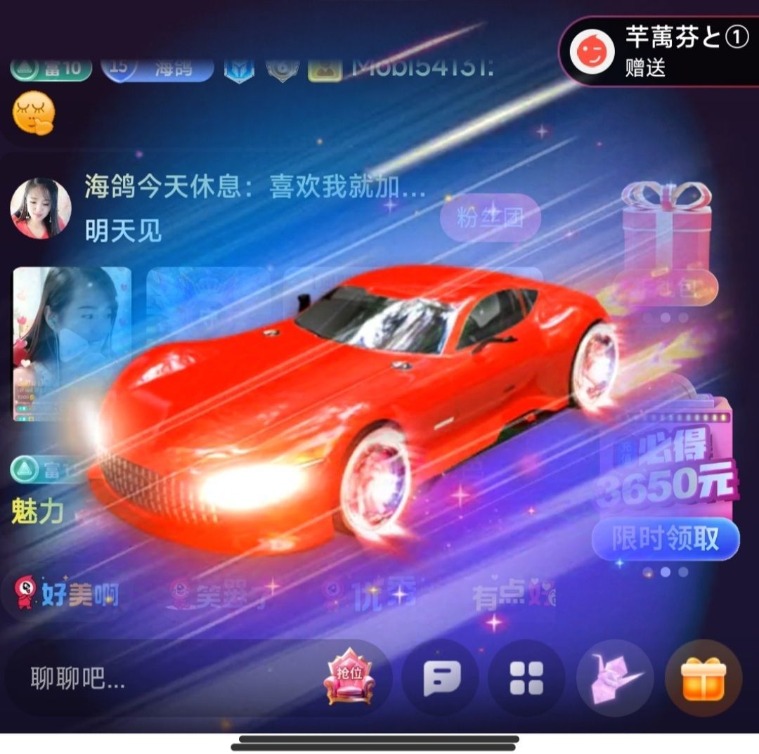 海鸽晚上见的图片
