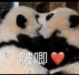 抱抱馨💌今晚休。主播照片