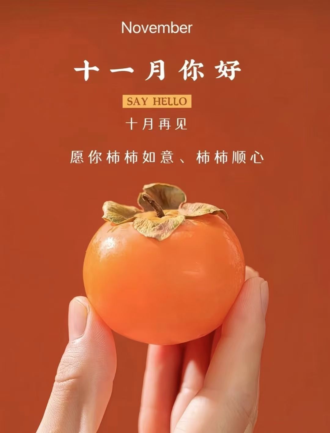 婷儿～婷儿的图片