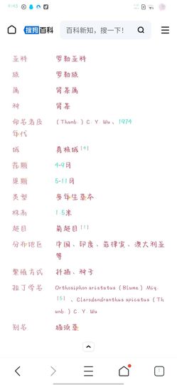 乖巧宝宝歌曲：凤凰飞主播照片