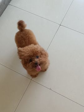 💞天宝💞军训白天主播照片