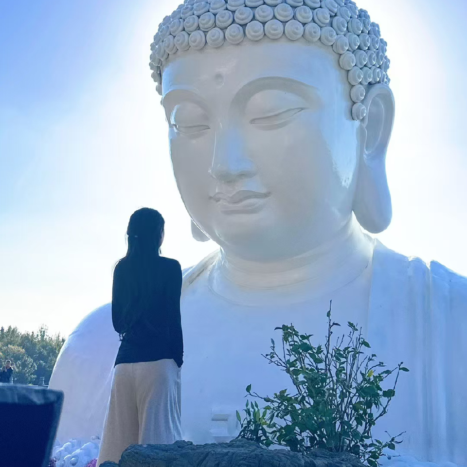 散修【弃宗踏仙】海报