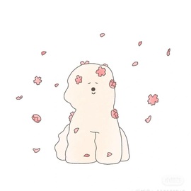 董贺我围观哥帝君啦主播照片