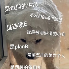 张书宁🦋的图片