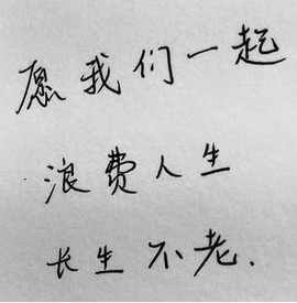 ◐惠主，2388◐的图片
