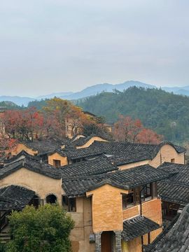 夏至🌸坚持不住啦主播照片