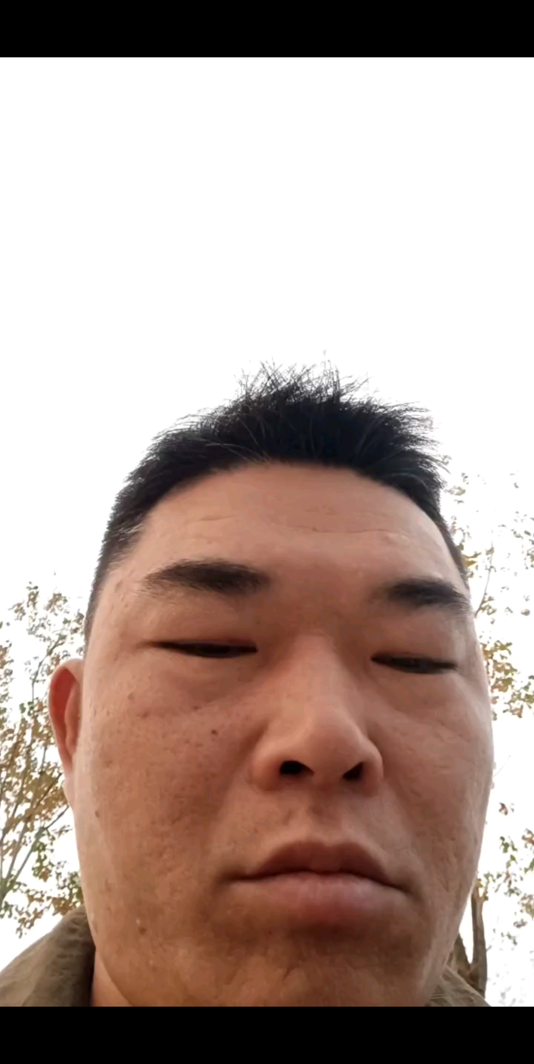 冬天已侄树木枯黄也