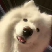 乐迪❤️