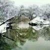 原zb海报