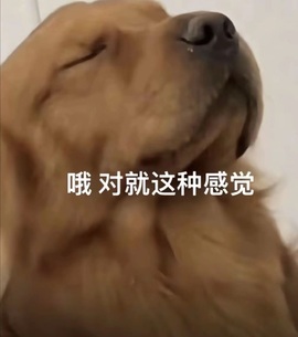 抱抱馨💌今晚休。主播照片