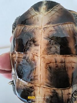 小❤研主播照片