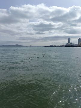 珠光宝气✘的图片