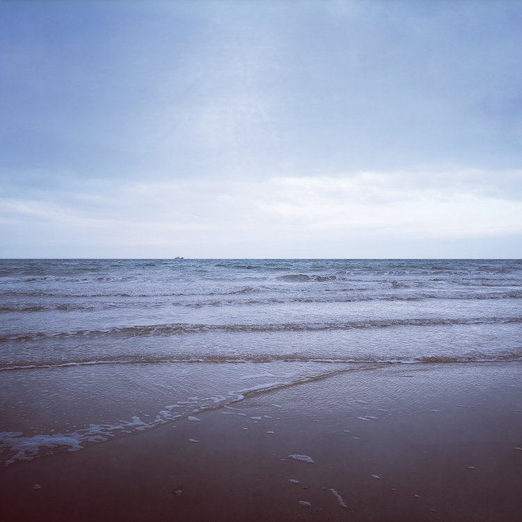 居家码农海报