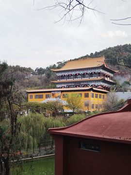 小童贺m哥公爵🤴主播照片