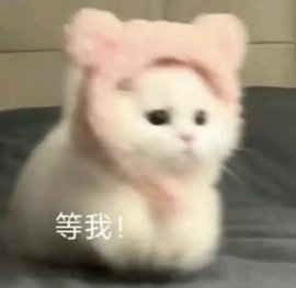 宝儿-燃舞超甜音主播照片