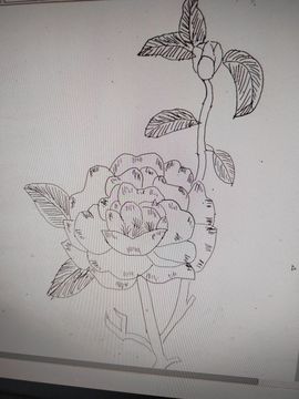 钟铃tina主播照片