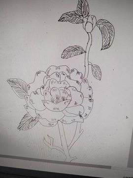 钟铃tina主播照片