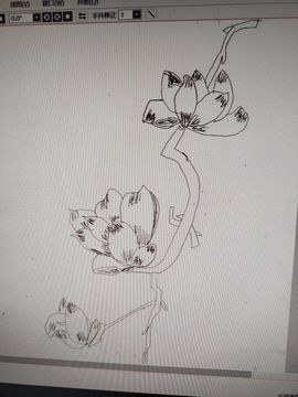 钟铃tina主播照片