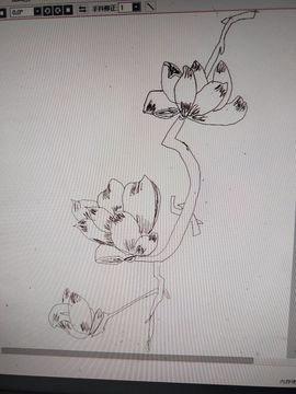 钟铃tina主播照片