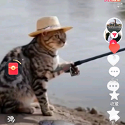 猫猫👿