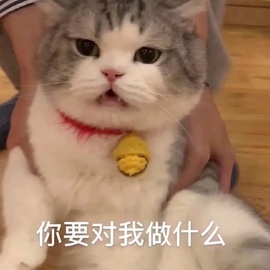 洁儿宝宝~主播照片