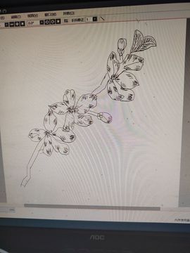 钟铃tina主播照片