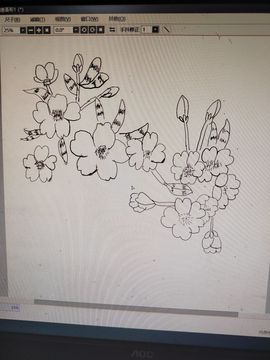 钟铃tina主播照片