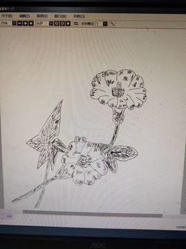 钟铃tina主播照片