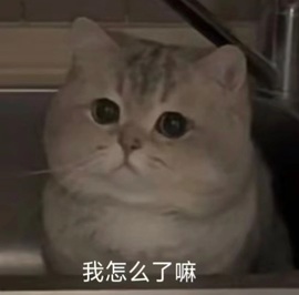 洁儿宝宝~主播照片