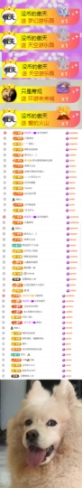 陈慧慧🥕早9晚8主播照片